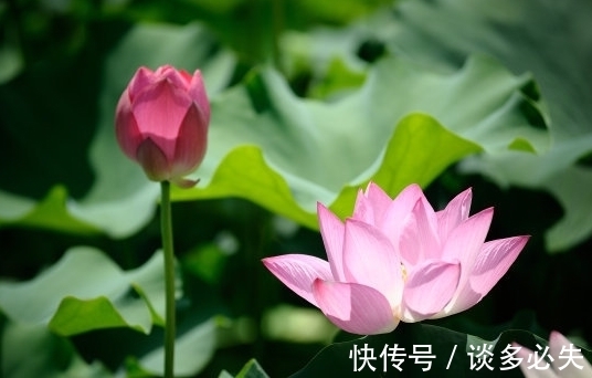 出纳官|10月下旬，吉星近身，4属相桃花旺盛，生活顺心如意，日子红火