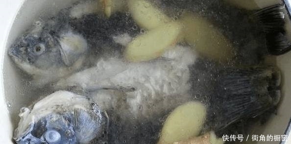 提升|煲鲫鱼汤加入这个小技巧,提升鱼汤美味营养也更丰富了