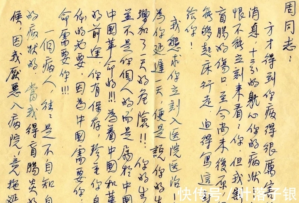 硬笔书法|1936年宋庆龄写给鲁迅的信件曝光,没曾想其硬笔书法也是如此精湛