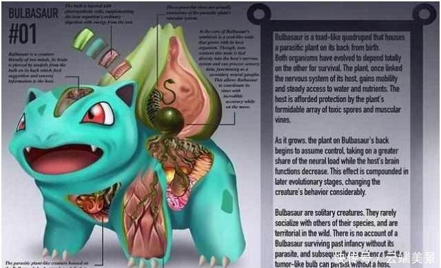 能量|为什么神奇宝贝们拥有无穷无尽的能量看看这些结构图你就知道了