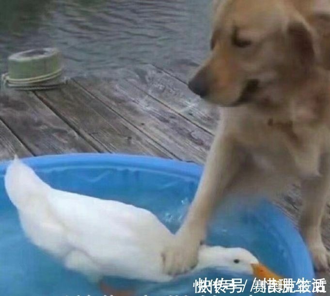 男友 男生对口红都有哪些误解?口红色号就是价格?999是皮炎平?