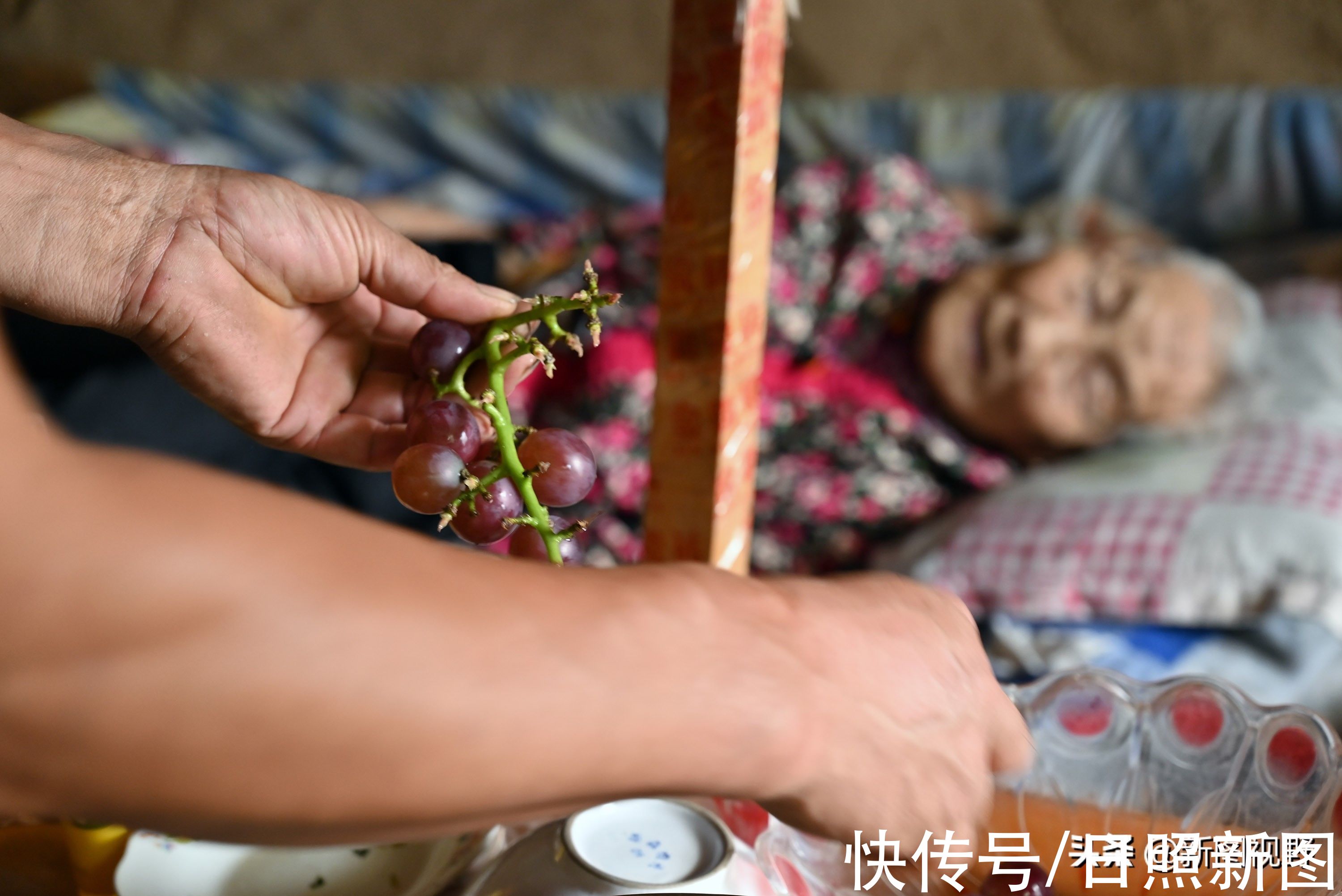 张怀兰|104岁奶奶，从没去过医院，养生方法极其简单，长寿秘诀人人都会