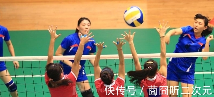 高度|气排球网高度标准尺寸