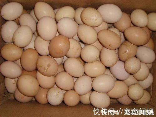 小技巧|鸡蛋不能放入冰箱保存,只因含有致病菌?2个保存小技巧不用担心