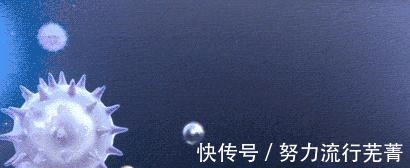老婆|只有3平米的厨房,老婆做到了台面无物!做法真聪明,大伙瞧瞧!