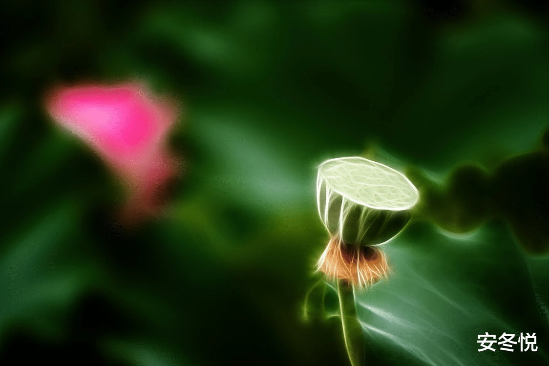 疏竹&真正优秀的人,拥有这三种品质