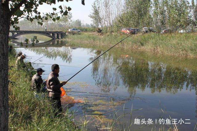 钓鱼打窝天经地义,这三个打窝技巧钓鱼人必备,别让窝料白白浪费