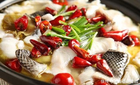 营养|百吃不厌的家常菜做法, 美味营养,简单易做,家人都爱吃