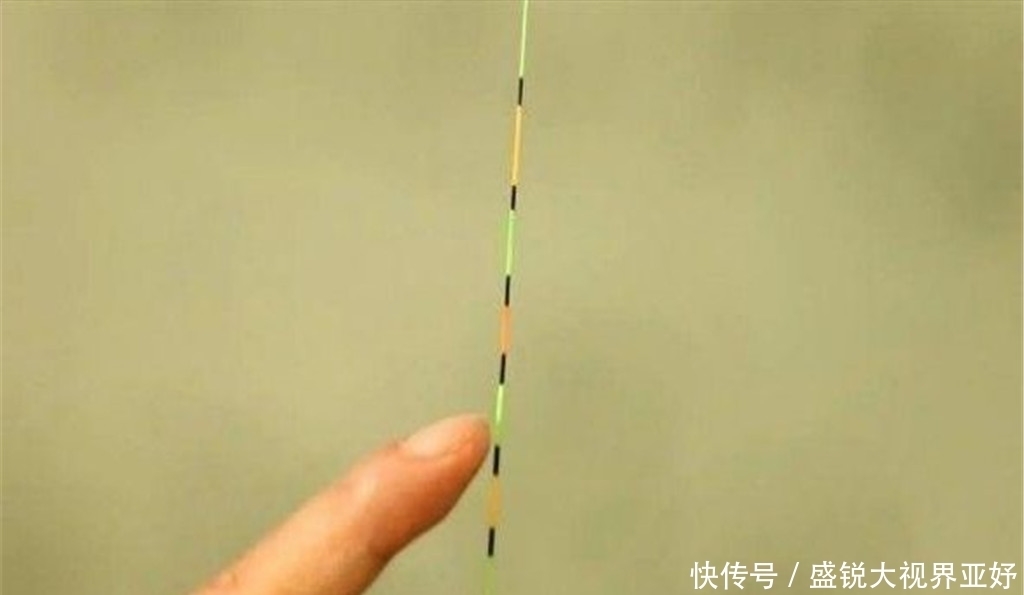 钓鱼有口打不中，除了重新调漂，钩、线、饵也需自查