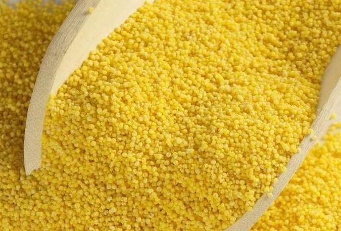 皱纹|小米与此物同煮，皱纹消失了，失眠也治好了，健胃祛湿，气色红润