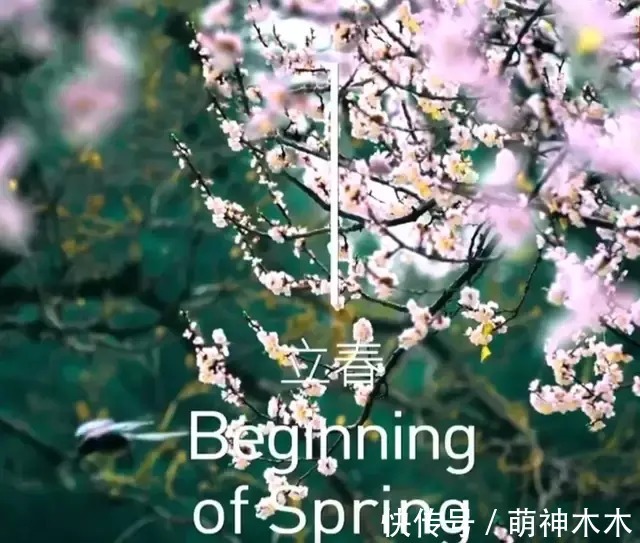 韩国人|韩国人又急眼了?要求和我国共享24节气,试图模糊概念被网友打脸