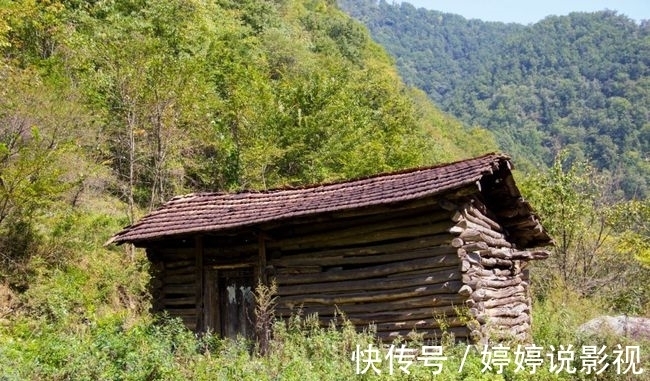 茱萸|寻访秦岭苦竹沟，灌满浆汁的烂红野果和山货挂满枝头，都无人采摘