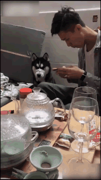 |搞笑GIF:女朋友总是这样出现 我的小心脏都快受不了了