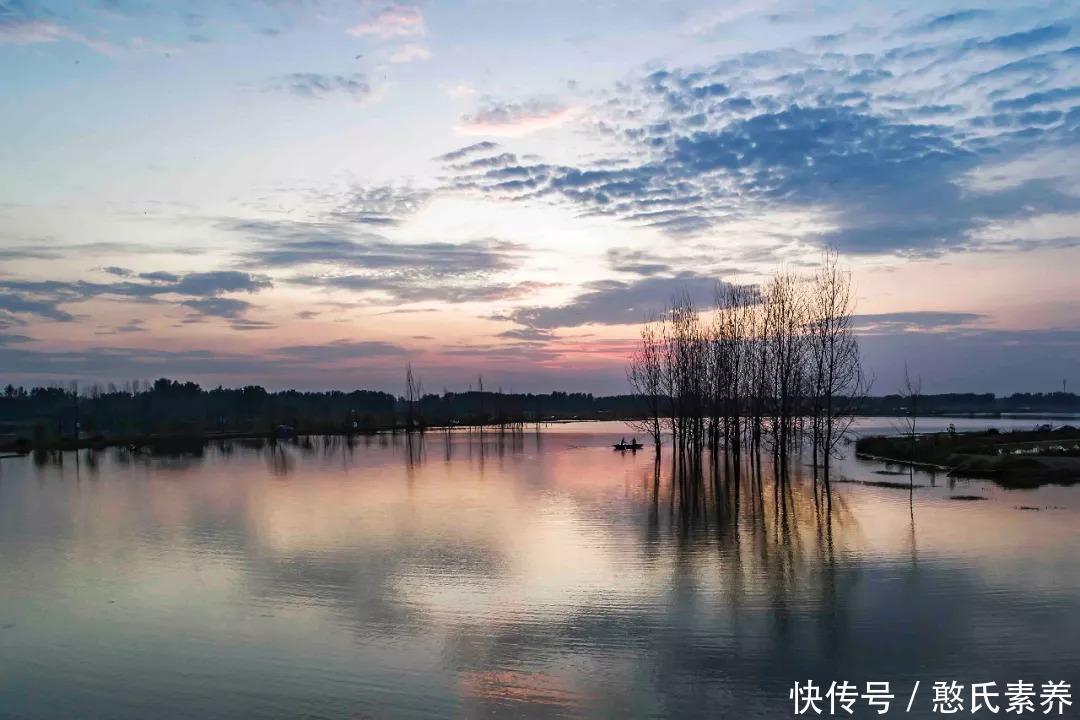 王子文集之《道源乡情》:一部才情俱佳的诗文集,让您如坐春风