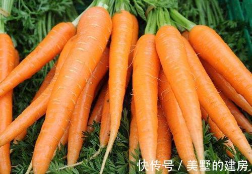 增强体质|人到中年想长寿,夏天不妨多吃3种食物,排毒养颜、增强体质!