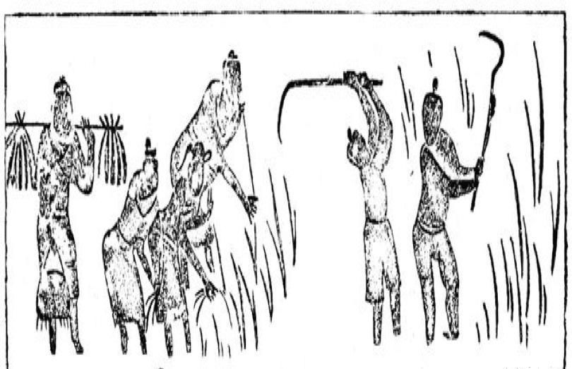 炎帝黄帝&世人都知道炎帝黄帝,却将这人遗忘了,他的贡献竟比炎黄还厉害