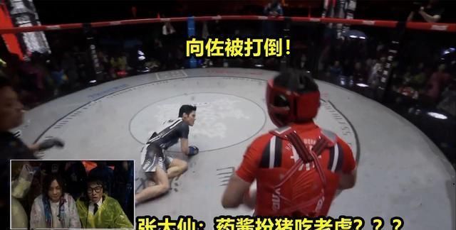 药水|大结局！热度破3000万，药水哥成为最大赢家，大仙：扮猪吃老虎？