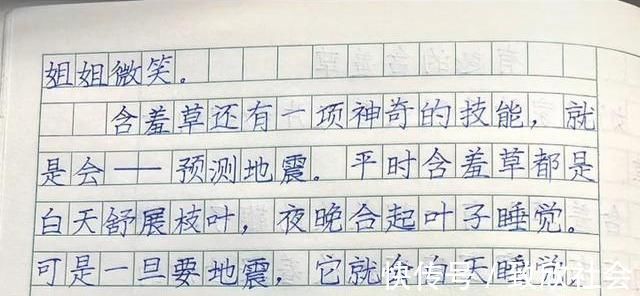作文!家长晒二年级学霸作文,字迹严谨规范,端庄大气,堪比“教科书”