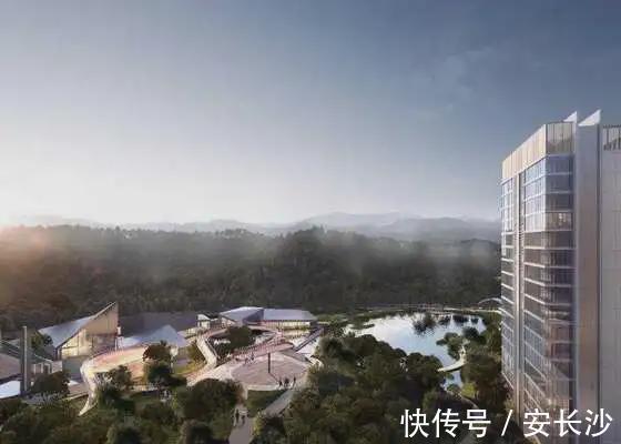 长沙|百万方大盘加推刚需住宅!本周末长沙预计6项目开盘