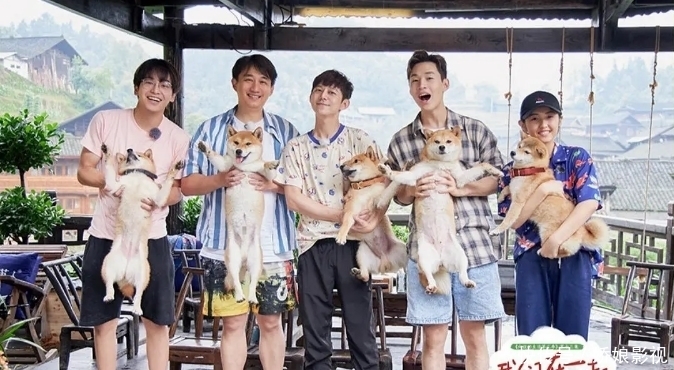 顶流国综收视第一，却被骂成“老鼠屎”，张艺兴这次真的做错了？