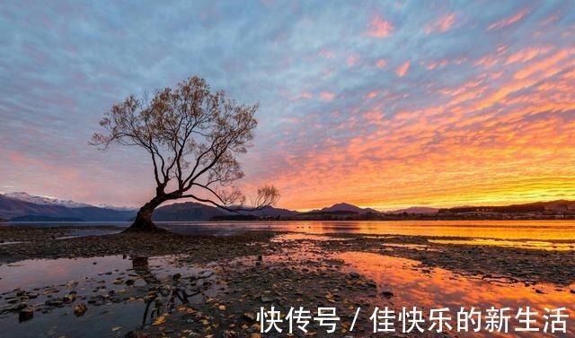 特征$命浅福薄的人,往往有这两个特征,若是不克服的话,就会一生坎坷!