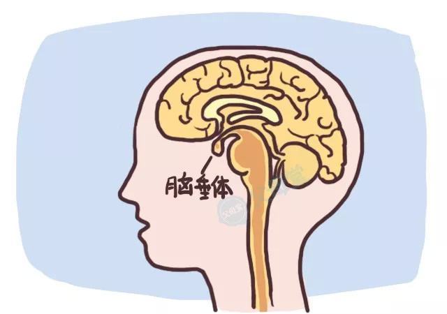 这两个睡眠的黄金时间，错过了小心孩子长不高，父母们别不当回事