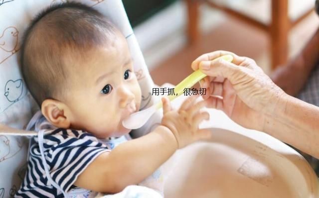 父母|宝宝不爱吃辅食的3个秘密,你知道几个?新手爸妈可收藏