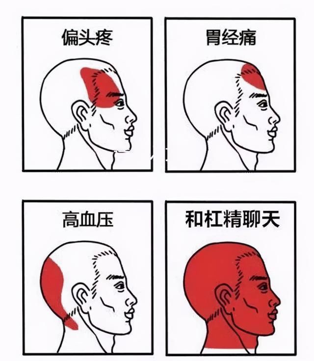 mc|小学生都是萌新？我的世界：七个七个辨别萌新的方法，老mc都笑了