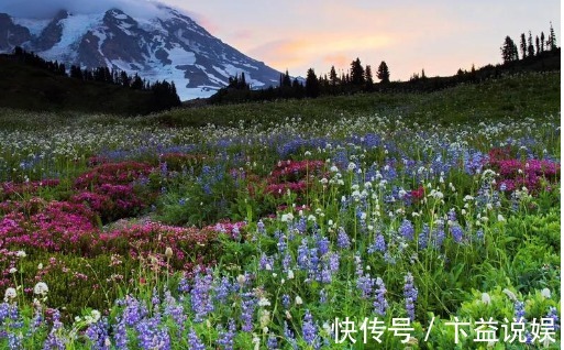 红辣椒|这6种长在地里的“天然青霉素”,隔三差五吃一回,常吃少生病