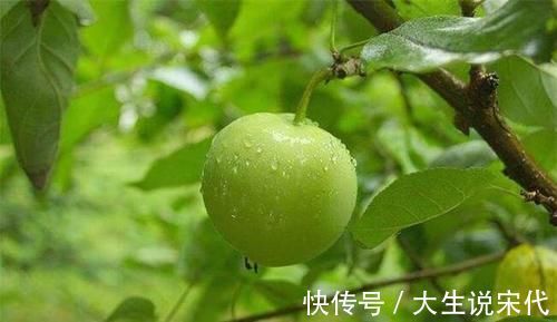 龙眼|会吃的人最健康,坚持吃以下食物,排毒清肠,清热去火,消除疲劳