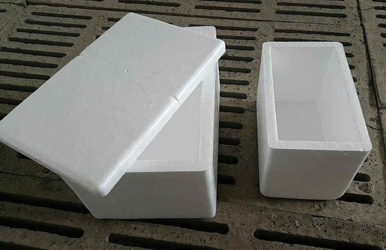 养花|总用泡沫箱养花种菜,好不好听听过来人怎么说