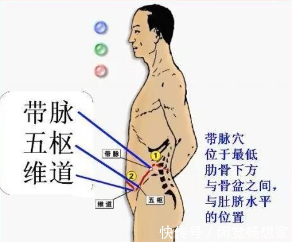 经络|一套从头练到脚的经络操，彻底打通经络百病消！比三伏贴还管用！