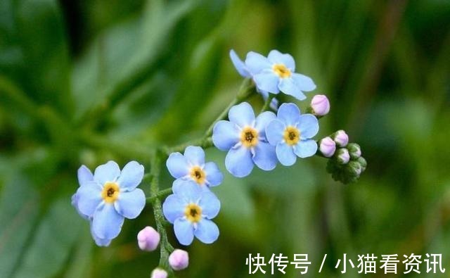 妈妈|妈妈是此三属相,生的孩子不但聪明懂事,长大后也有所作为