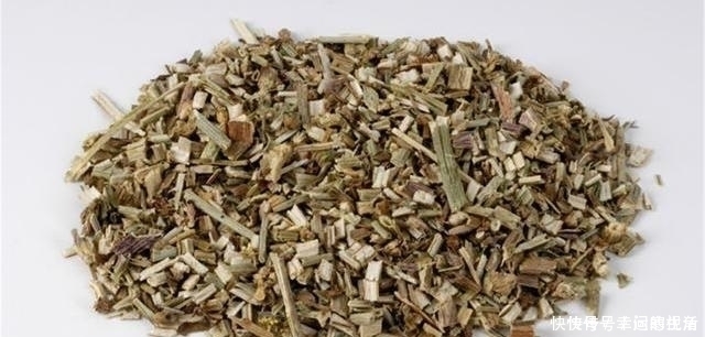 寒性|蒲公英,被称为“药草皇后”,谨记“五搭配、四禁忌”,别再犯错