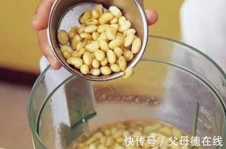 虎皮兰不冒小芽，长势差，盆里埋几粒它，小芽呼呼长叶翠绿