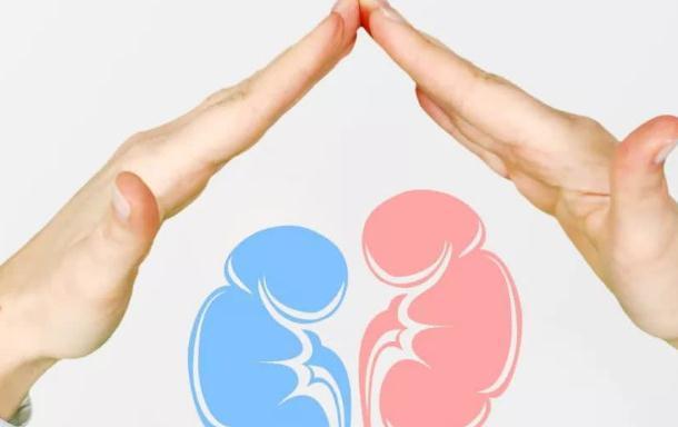 尿液|三白伤肾,建议少碰,二红养肾,不妨常吃,肾或会感谢你