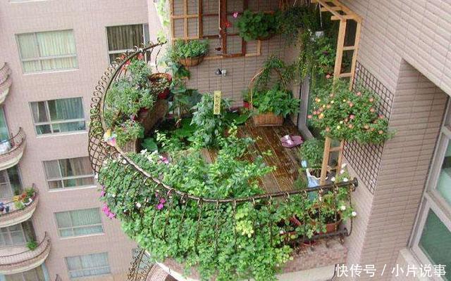 阳台上|建议各位不管阳台多大，学聪明人添上“这几样”，那叫一个洋气