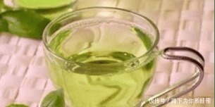 “桑树叶子”泡水喝真的能“降三高”吗专家给出了真实的答案！