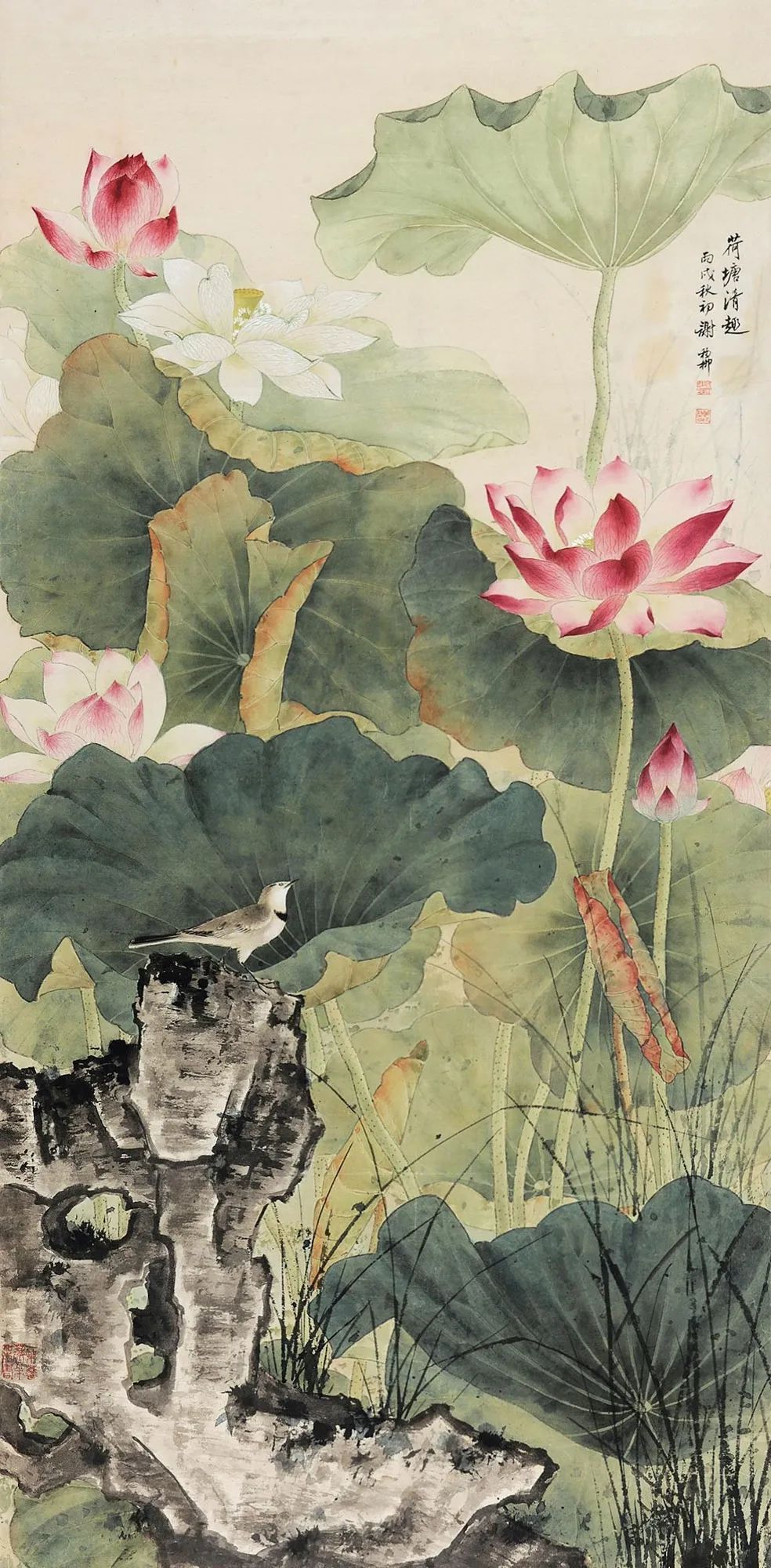 荷塘$谢稚柳的江南荷塘，美翻了