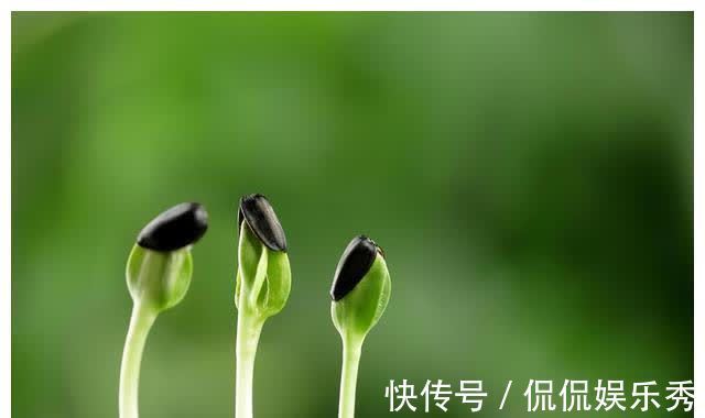 中老年人|春季养生,养的是肝脏,这些养生禁忌,要多加注意