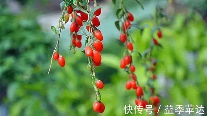 古典文學#中國歷史上影響最大的10首詩,驚艷千古,中國人必讀古典文學與詩詞今天