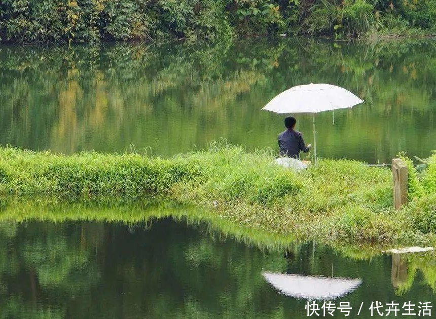 觅食|这5种情况鱼不会咬钩,逢钓必空军,快点避开这些误区