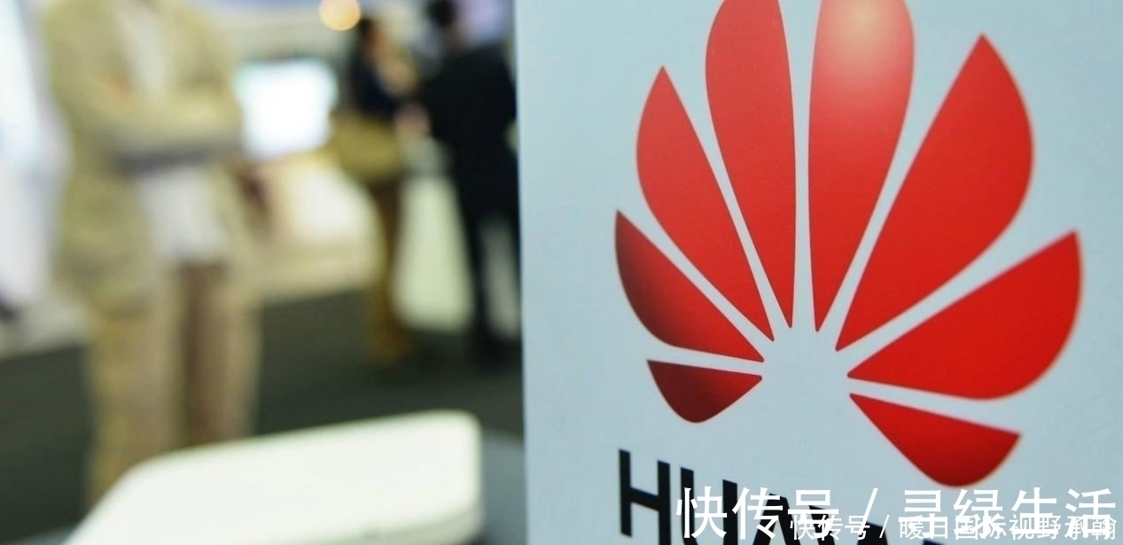 芯片|华为被打压只是开始中国院士透露,国内又一大领域依靠国外软件