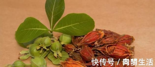飙升|高尿酸人群注意:桌上3种美食,一口都不能多吃,尿酸飙升很快