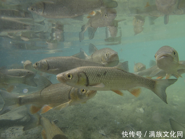 蹊跷|“冰上捕鱼单线拽”——关东这一怪怪得蹊跷 单线究竟拽什么