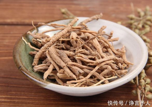 伸筋草|用这三味中药泡茶喝，精力充沛、延缓衰老