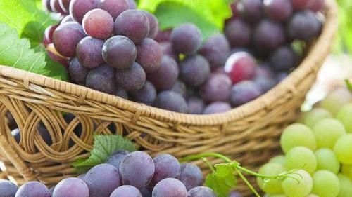 血液循环|女人有子宫肌瘤不要慌,记得多吃这几物,助你活血化瘀养子宫