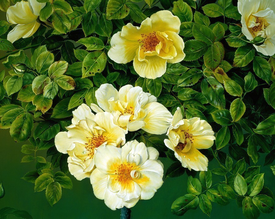 巴塞罗那@西班牙超写实油画大师marcEscofet:大自然的灵魂画师