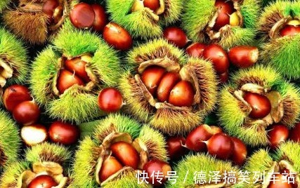 栗果|秋季板栗大量上市,将板栗放进冰箱冻一冻,几个好处让你意想不到