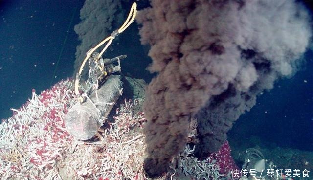 木卫二拥有比地球水量还丰富的海洋,章鱼是里面的主宰?